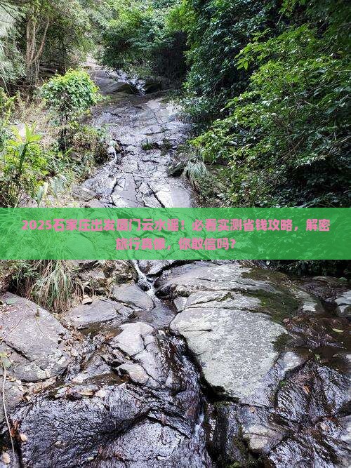 石家庄去厦门云水谣大型旅游团