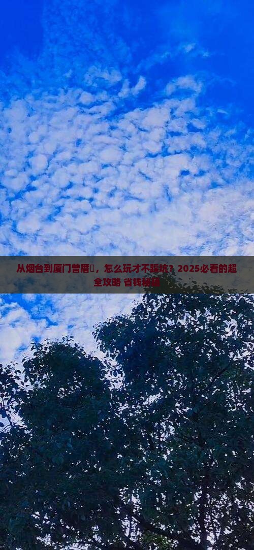 烟台去厦门曾厝埯攻略