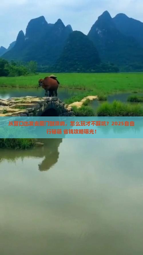 营口去厦门鼓浪屿自由行