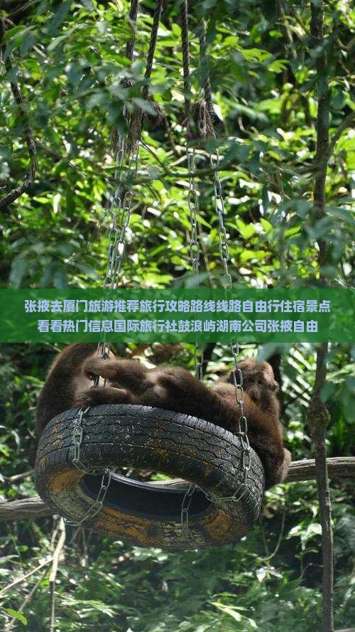 张掖去厦门鼓浪屿景点