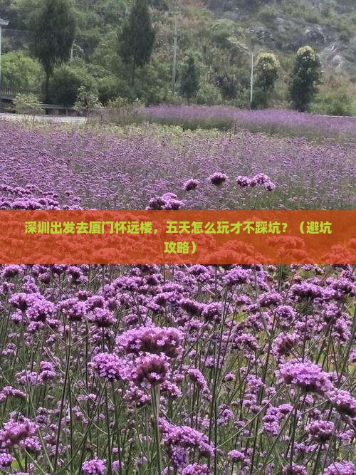 深圳去厦门怀远楼五日游