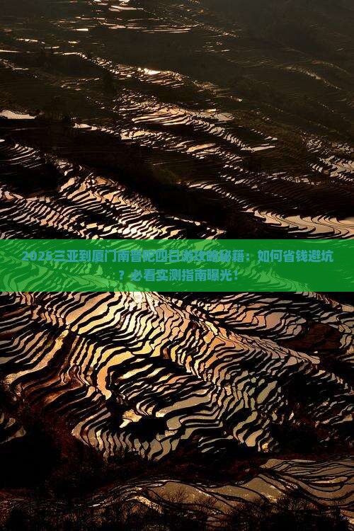 三亚到厦门南普陀四日游