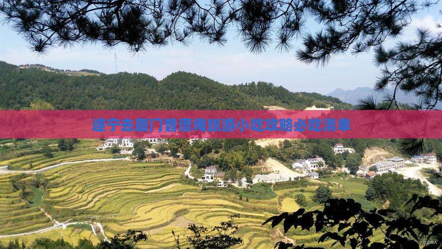 遂宁去厦门曾厝埯旅游小吃
