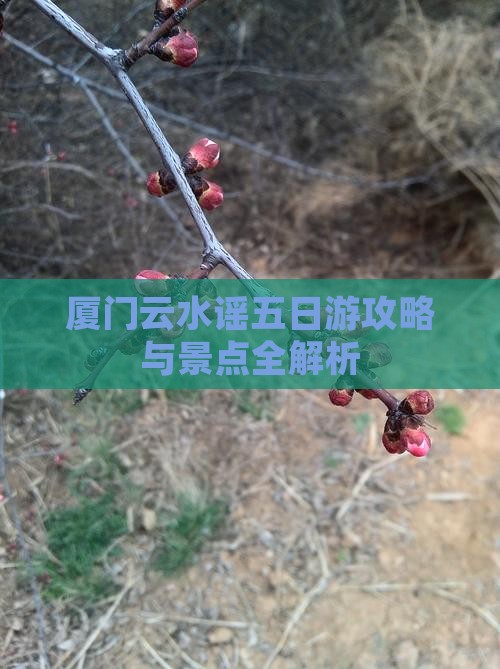 昌都到厦门云水谣五日游