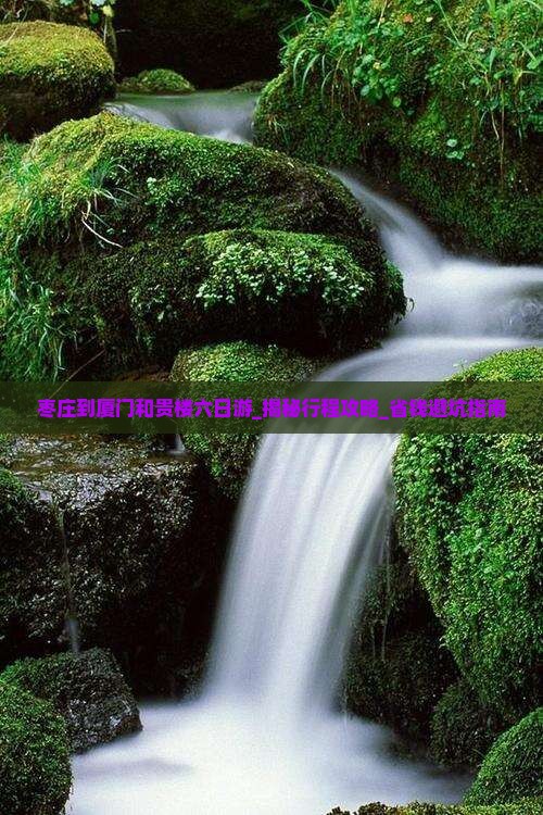 枣庄到厦门和贵楼六日游