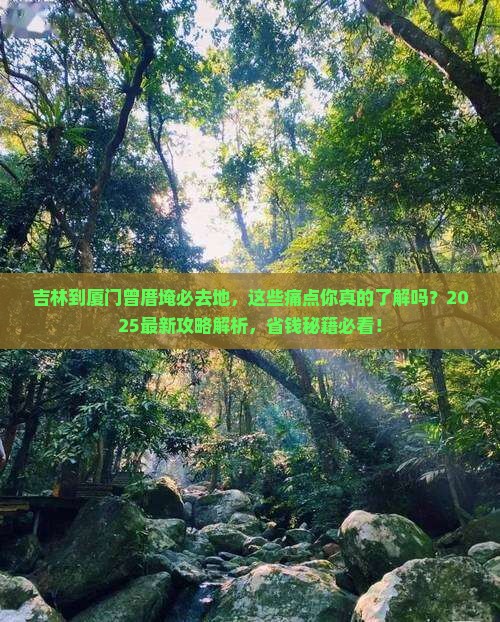 吉林到厦门曾厝埯必去地