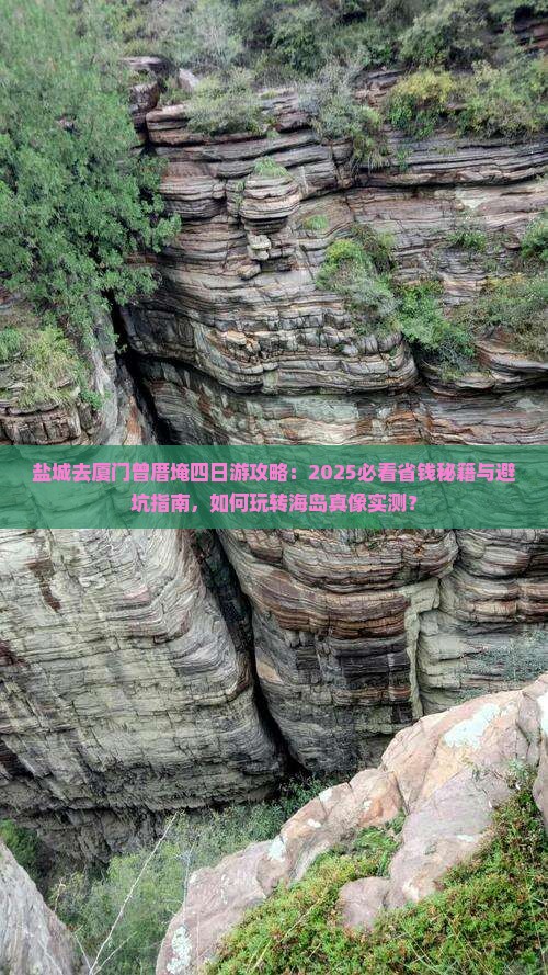 盐城去厦门曾厝埯四日游