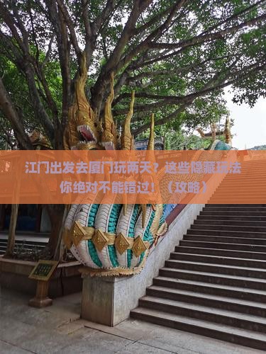江门去厦门二日游