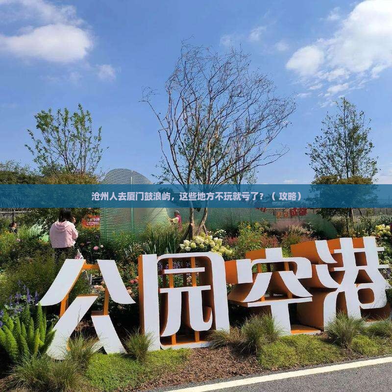 沧州去厦门鼓浪屿哪里玩