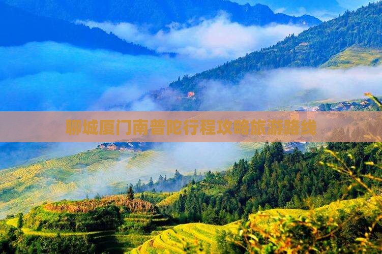 聊城去厦门南普陀旅行社