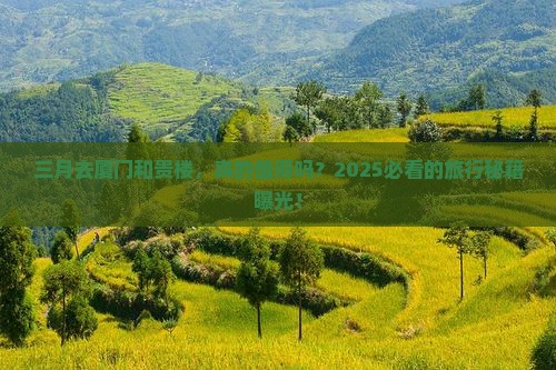 三月去厦门和贵楼景点 三月去厦门和贵楼景点