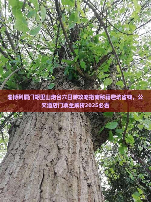 淄博到厦门胡里山炮台六日游