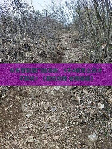东营到厦门鼓浪屿旅游