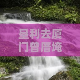 垦利去厦门曾厝埯三日游