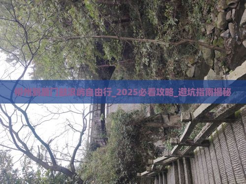 柳州到厦门鼓浪屿自由行
