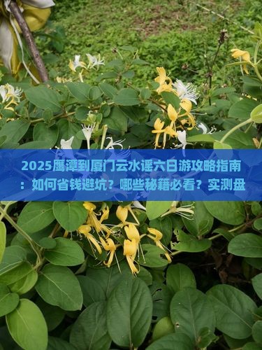 鹰潭到厦门云水谣六日游