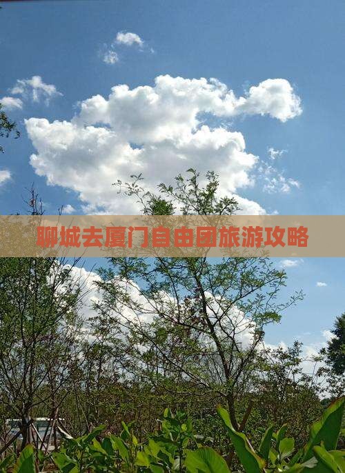 聊城去厦门自由团