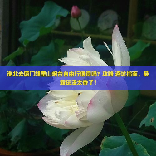 淮北去厦门胡里山炮台自由行