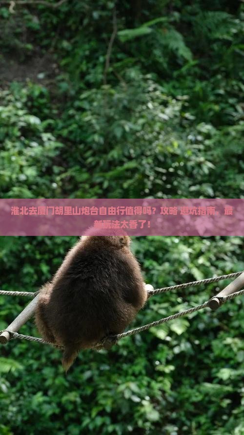 淮北去厦门胡里山炮台自由行