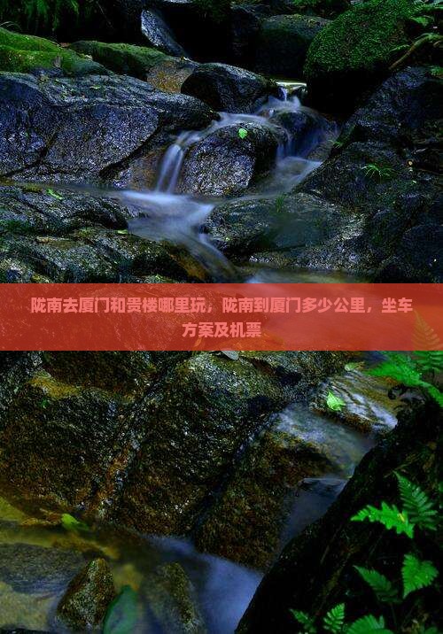 陇南去厦门和贵楼哪里玩