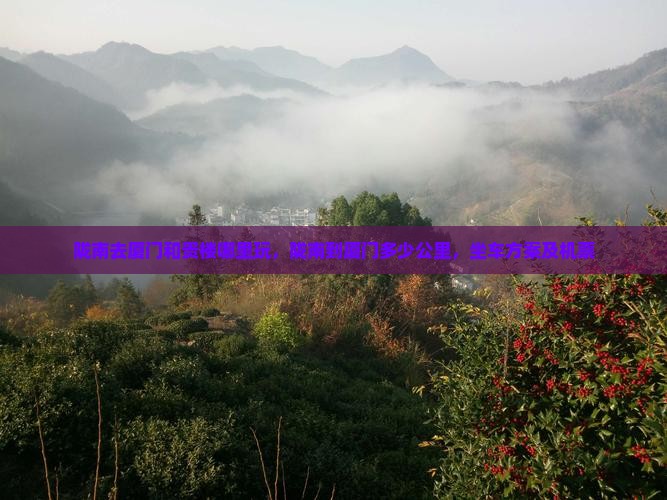 陇南去厦门和贵楼哪里玩