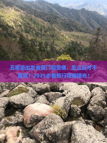 五家渠去厦门和贵楼旅行社