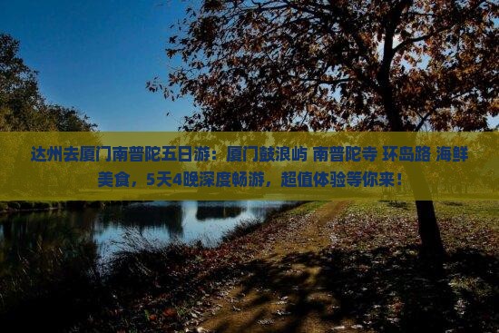 达州去厦门南普陀五日游