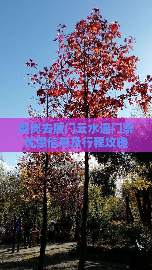 鹤岗去厦门云水谣门票