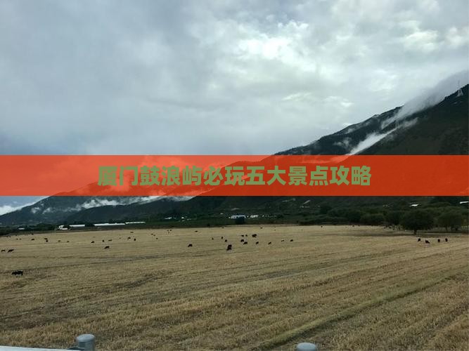劳动节去厦门鼓浪屿哪里玩