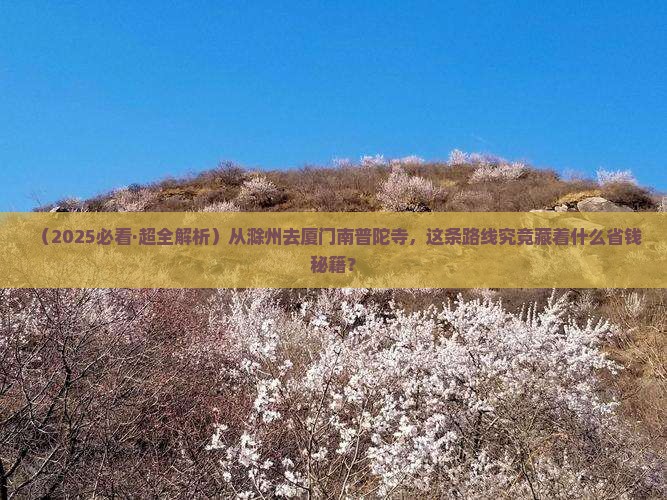 滁州到厦门南普陀旅游