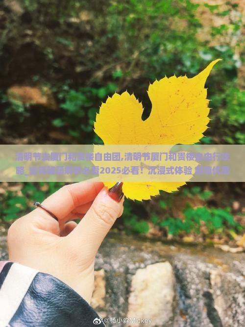 清明节去厦门和贵楼自由团