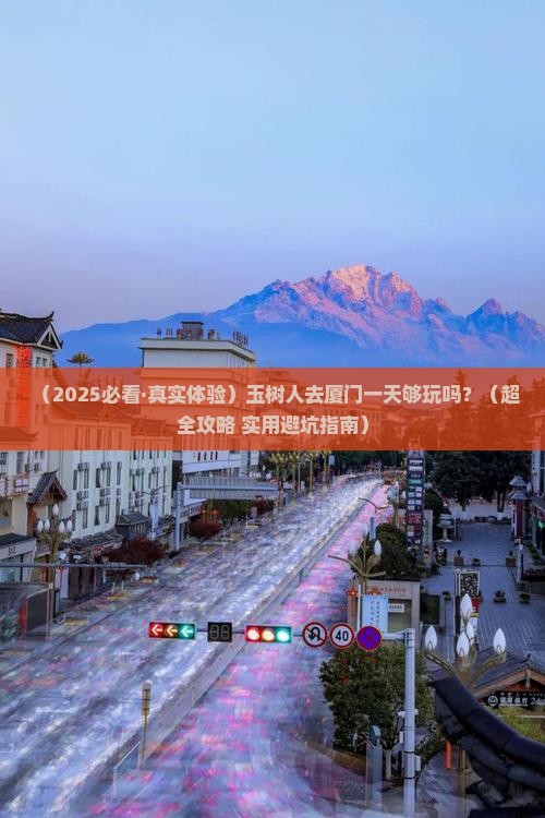 玉树去厦门一日 玉树去厦门一日