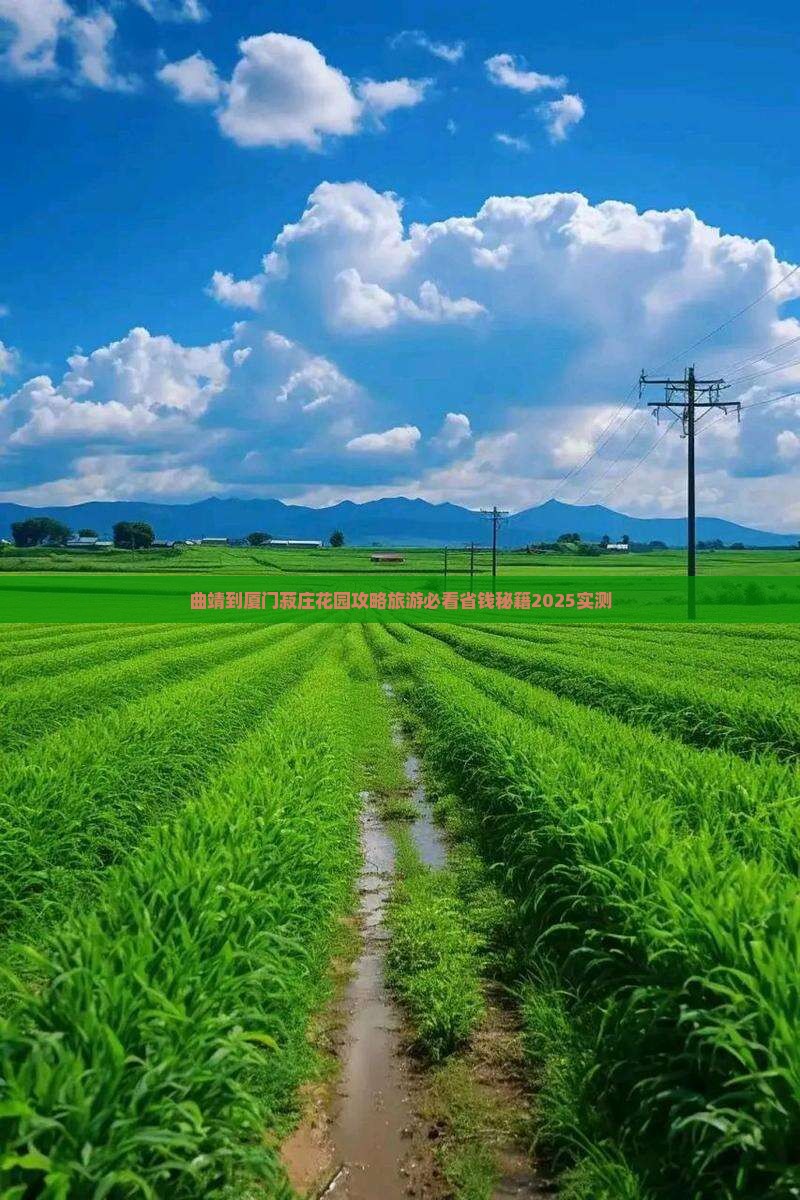 曲靖到厦门菽庄花园攻略