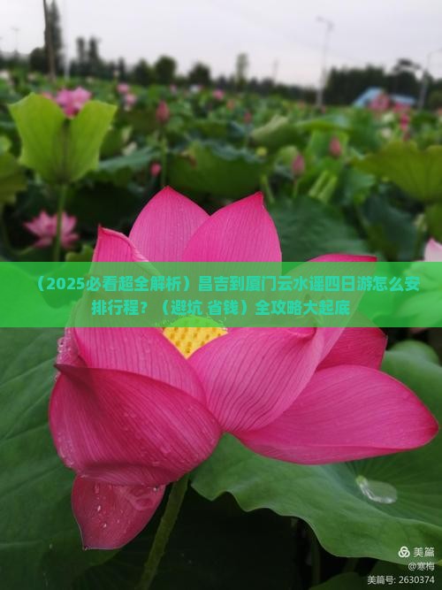 昌吉到厦门云水谣四日游