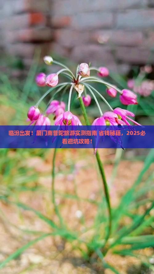 临汾去厦门南普陀旅游