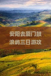 安阳去厦门鼓浪屿三日游