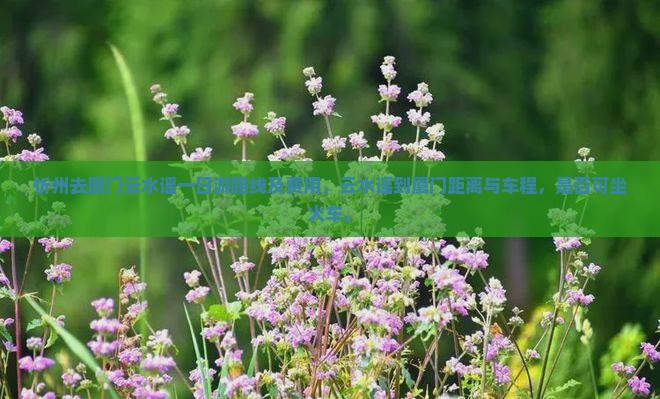 忻州去厦门云水谣一日