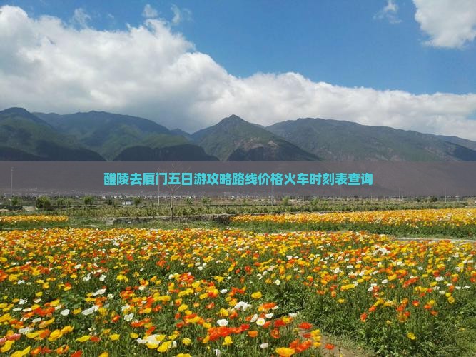 醴陵去厦门五日游