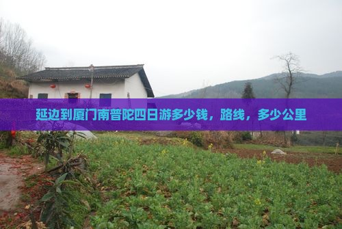 延边到厦门南普陀四日游