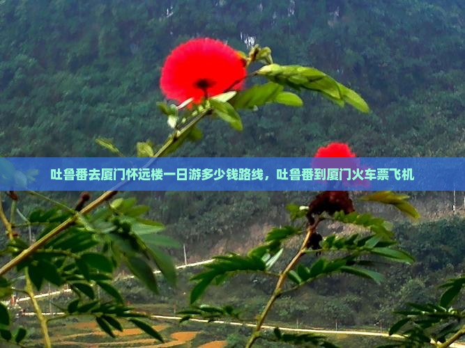 吐鲁番去厦门怀远楼一日