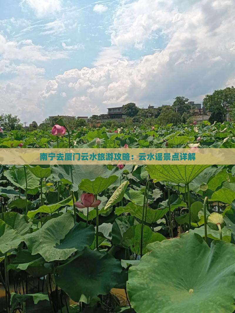 南宁去厦门云水谣景点