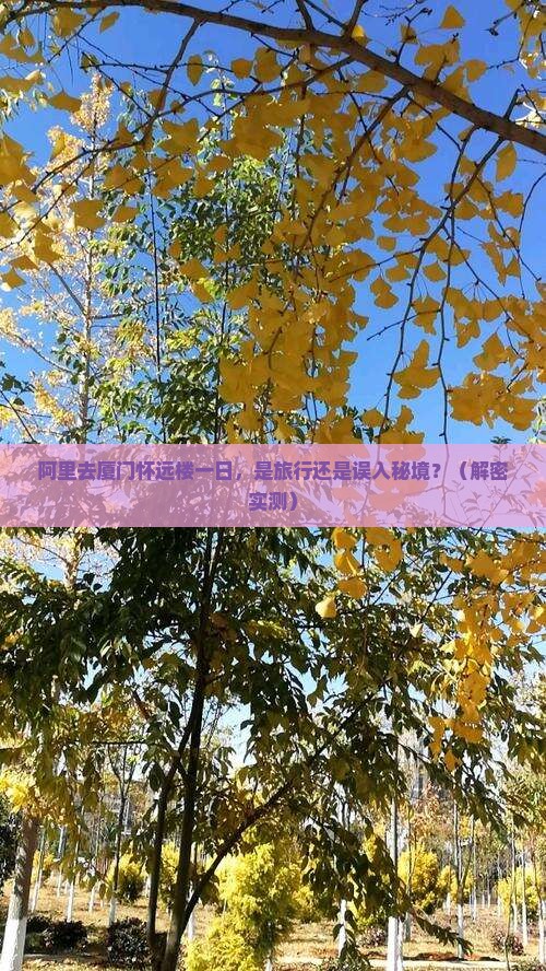 阿里去厦门怀远楼一日