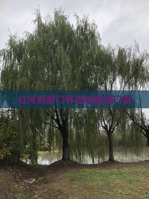 红河到厦门怀远楼门票