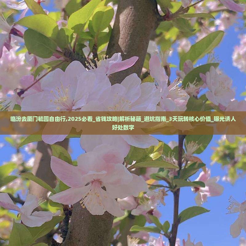 临汾去厦门毓园自由行