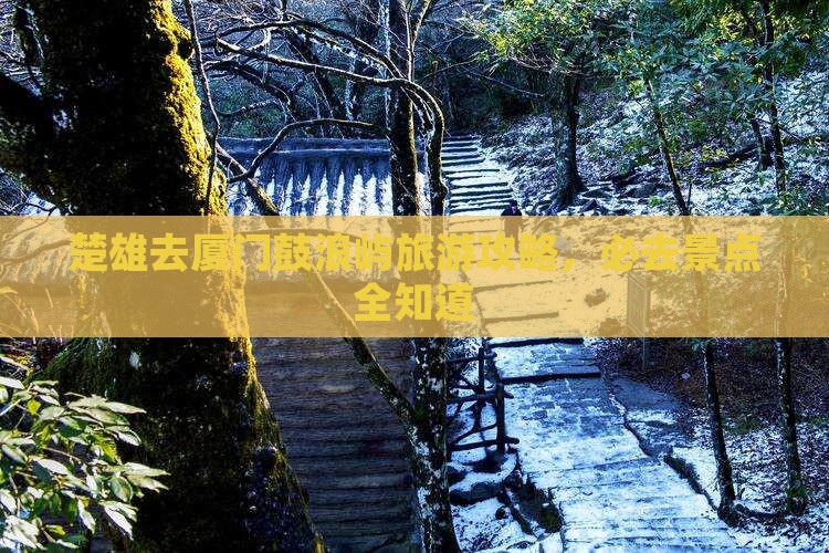 楚雄去厦门鼓浪屿哪里玩
