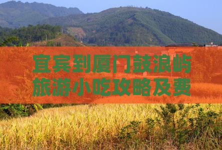 宜宾到厦门鼓浪屿旅游小吃
