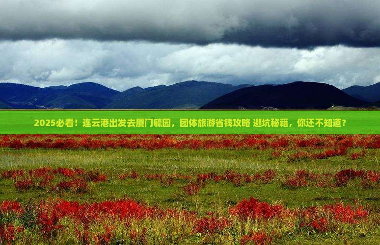 连云港到厦门毓园团体旅游