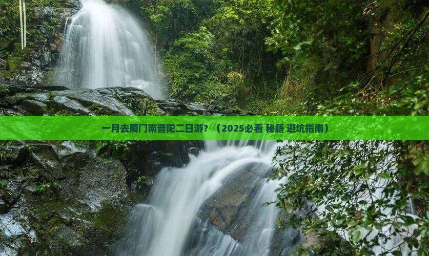 一月到厦门南普陀二日游 一月到厦门南普陀二日游