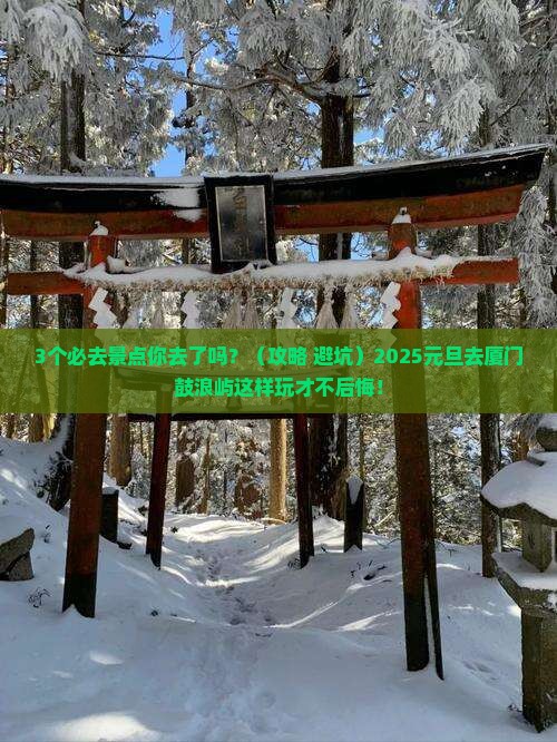 元旦去厦门鼓浪屿必去地