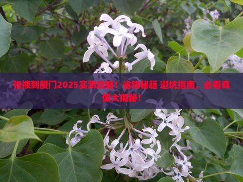 张掖到厦门攻略